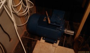 IMAG0207.jpg