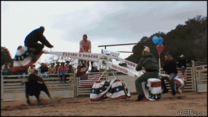 15914029.gif