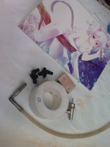 IMAG0169.jpg