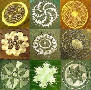 crop-circles.jpg