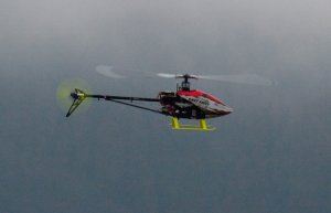 Untitled-1.jpg