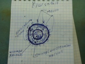 IMG_20170620_124512.jpg