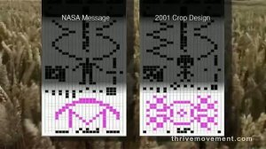 vlcsnap-2012-07-22-20h55m32s28.jpg