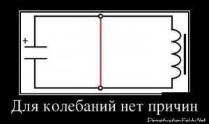 dem-0059.jpg