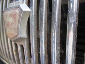 IMG_8712.JPG