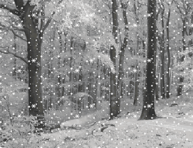 snowing.gif
